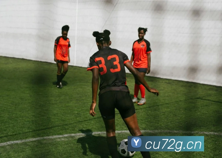 kaiyun官方平台发展历程